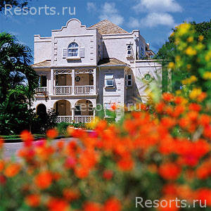 Coral Reef Club 